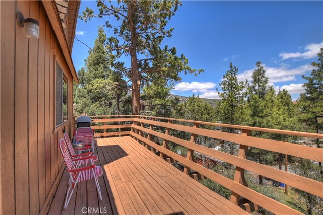 525 S Marlowe Dr, Big Bear City, CA 92314 - photo 34