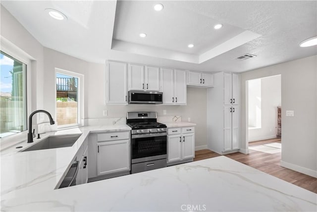1032 Glenn Ct, Lancaster, CA 93535 - kitchen with stainless steel appliances, a sink, light wood-style flooring, a raised ceiling, and light stone counters