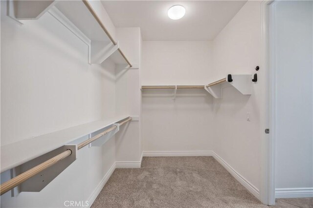 51 Carrington, Irvine, CA 92620 - walk in closet featuring carpet floors