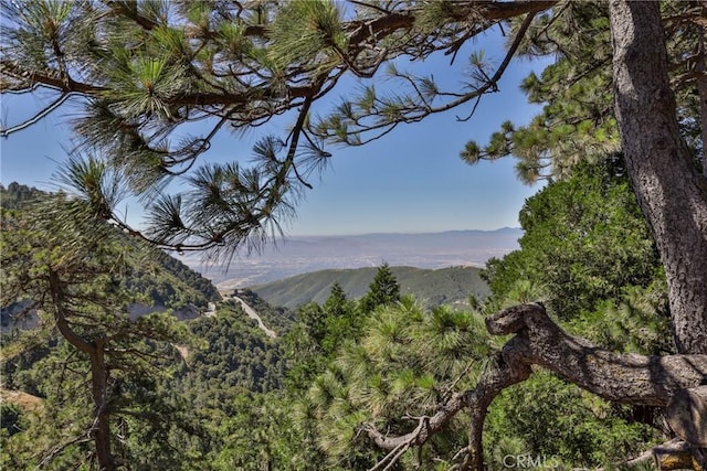 view of mountain background