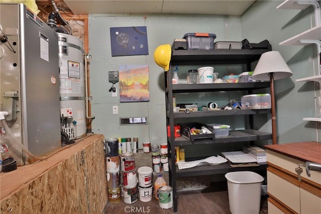storage room featuring water heater