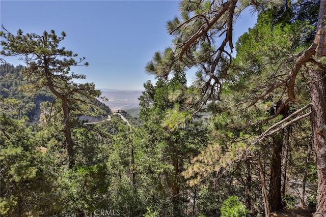 view of mountain backdrop with a forest