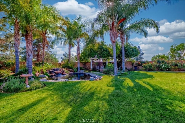 35475 Calendula Cir, Winchester, CA 92596 - view of yard