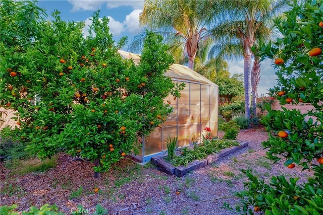 35475 Calendula Cir, Winchester, CA 92596 - view of yard featuring a greenhouse and an outbuilding