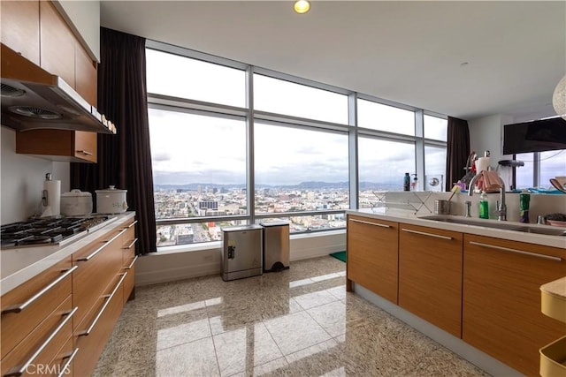 bathroom with granite floors, plenty of natural light, vanity, and baseboards
