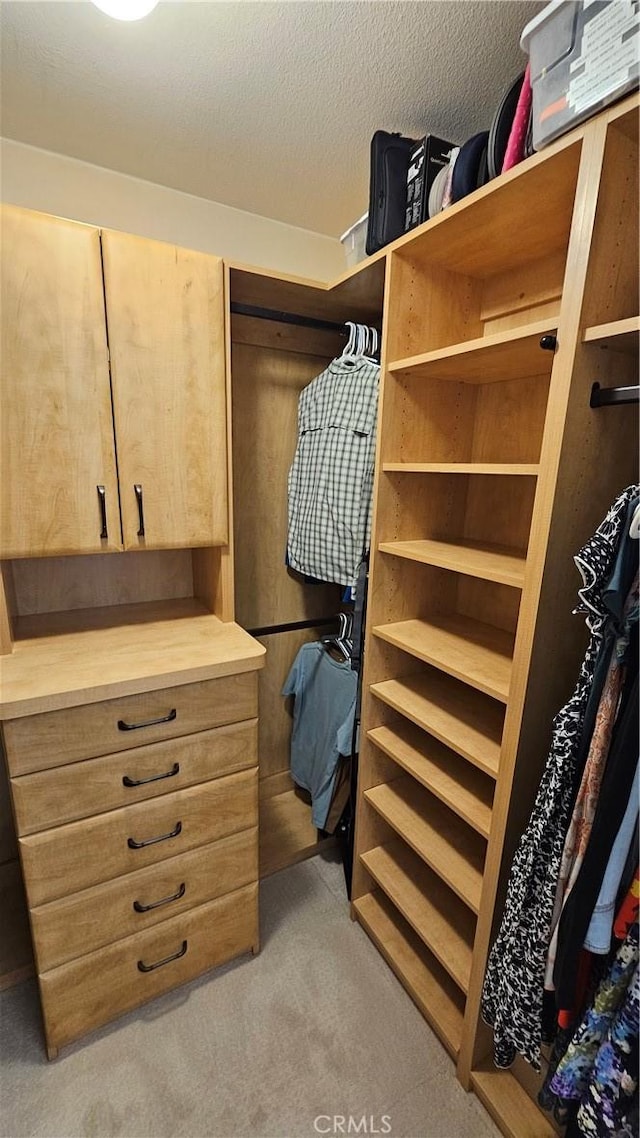 walk in closet with carpet