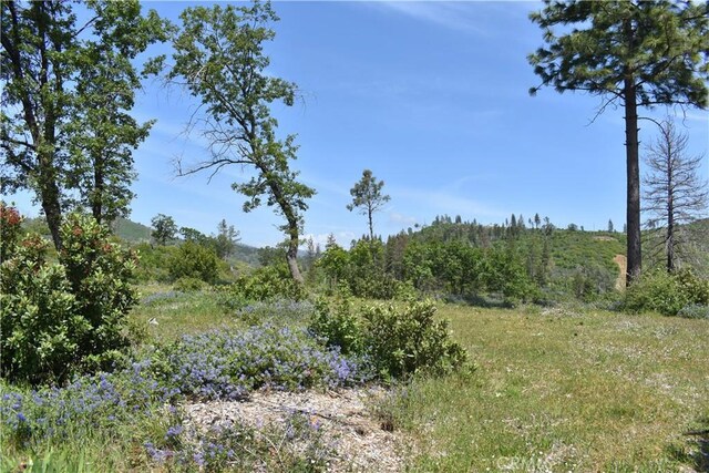 0 Stone Mountain Rd, Oroville, CA 95965 - photo 6