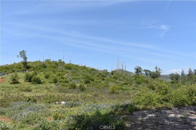 0 Stone Mountain Rd, Oroville, CA 95965 - photo 15