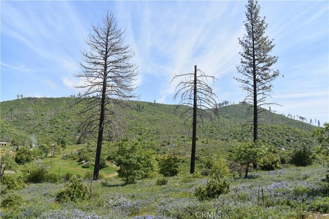 0 Stone Mountain Rd, Oroville, CA 95965 - photo 20