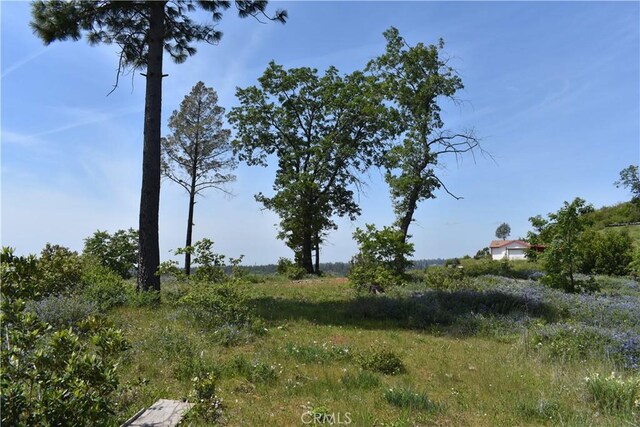 0 Stone Mountain Rd, Oroville, CA 95965 - photo 22