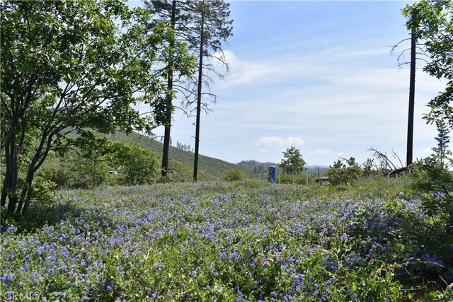 0 Stone Mountain Rd, Oroville, CA 95965 - photo 19