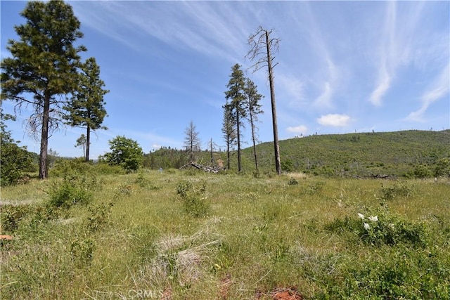 0 Stone Mountain Rd, Oroville, CA 95965 - photo 2