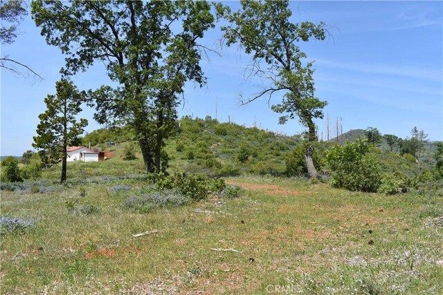 0 Stone Mountain Rd, Oroville, CA 95965 - photo 13