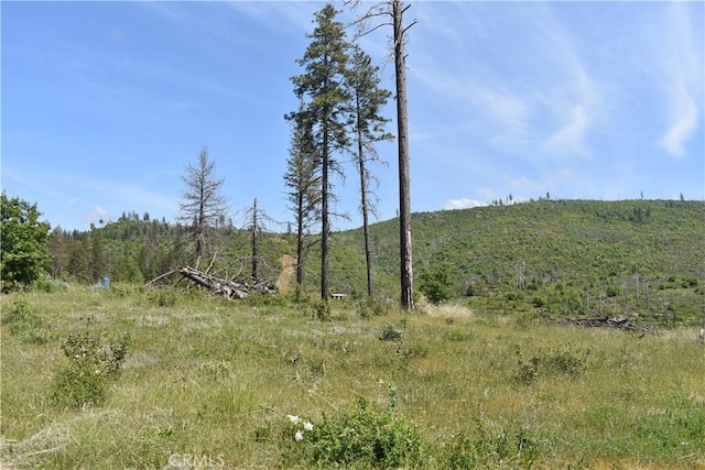 0 Stone Mountain Rd, Oroville, CA 95965 - photo 5