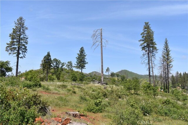 0 Stone Mountain Rd, Oroville, CA 95965 - photo 25
