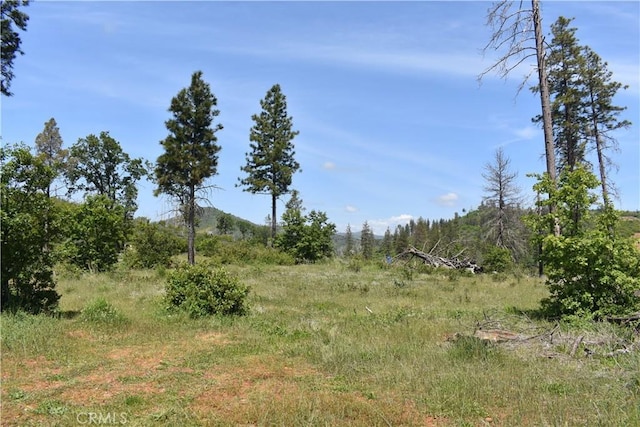 0 Stone Mountain Rd, Oroville, CA 95965 - photo 1