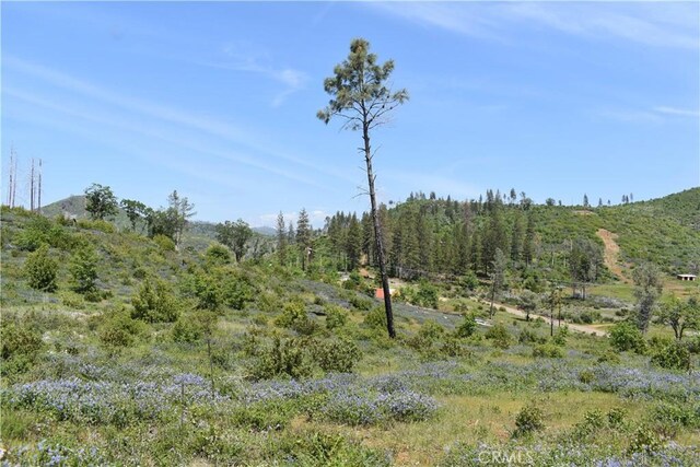 0 Stone Mountain Rd, Oroville, CA 95965 - photo 18