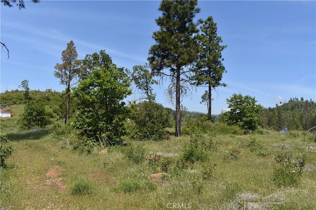 0 Stone Mountain Rd, Oroville, CA 95965 - photo 4