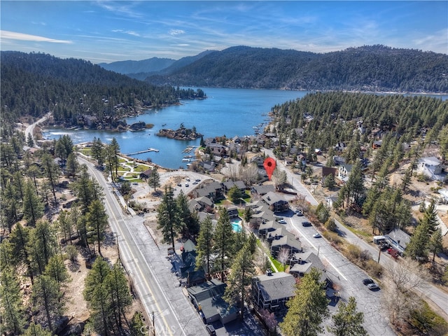 760 Blue Jay Rd Unit 28, Big Bear Lake, CA 92315 - photo 6