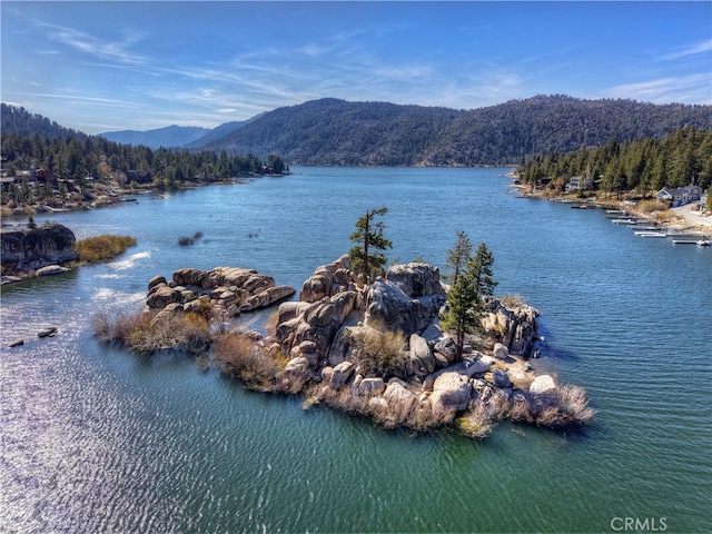 760 Blue Jay Rd Unit 28, Big Bear Lake, CA 92315 - photo 8