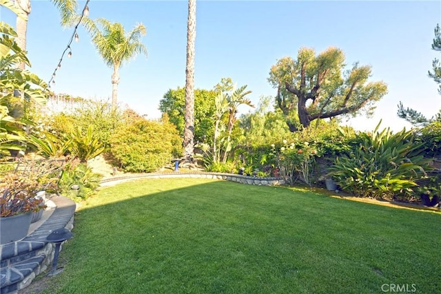 view of green lawn