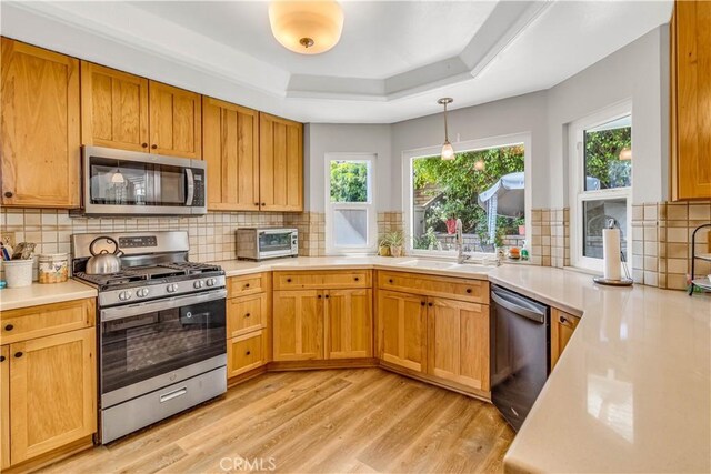 25572 Saltwater Dr, Dana Point, CA 92629 - kitchen featuring appliances with stainless steel finishes, light wood-style floors, healthy amount of natural light, and tasteful backsplash