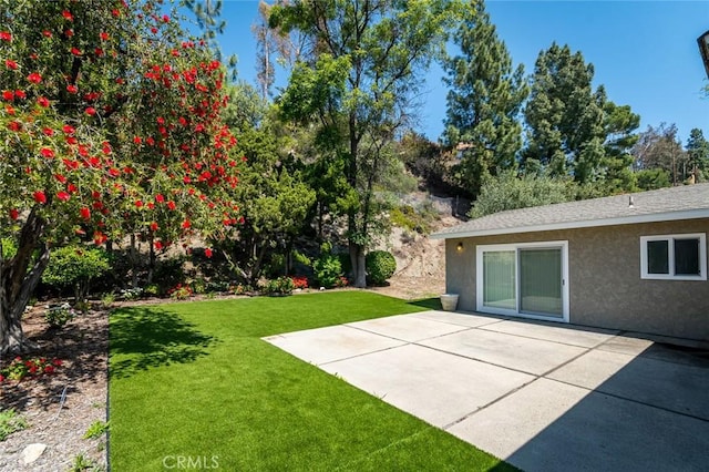 view of grassy yard with a patio
