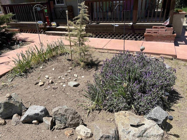 2466 Lupine Dr, Campo, CA 91906 - view of yard