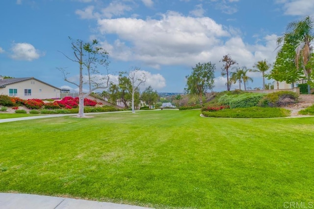 view of property's community featuring a yard