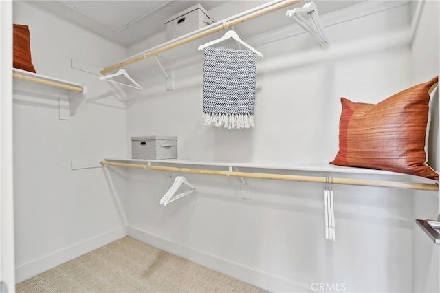 19041 Main St Unit 109, Huntington Beach, CA 92648 - spacious closet featuring carpet floors