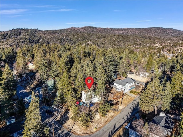 32490 Scandia Dr, Running Springs, CA 92382 - view of property location featuring a heavily wooded area and a mountainous background