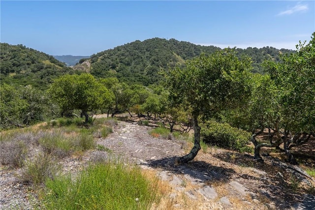 2815 Rock Wren Ln, Avila Beach, CA 93424 - mountain view featuring a forest