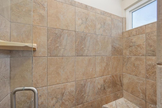 1715 Kennington Rd, Encinitas, CA 92024 - bathroom view of a stall shower