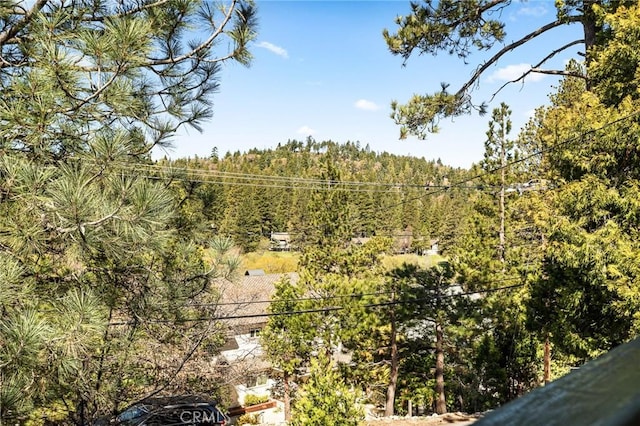 383 Golf Course Rd, Lake Arrowhead, CA 92352 - view of woods