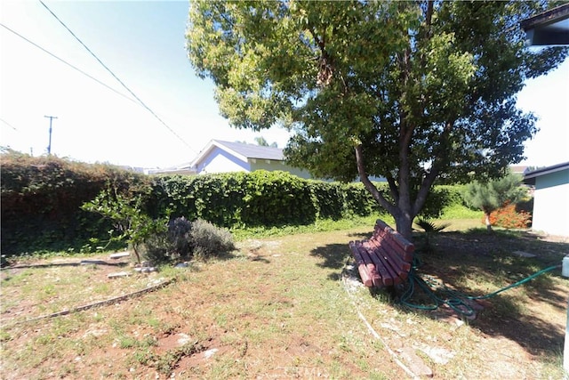 9943 Vernon Ave, Montclair, CA 91763 - view of yard