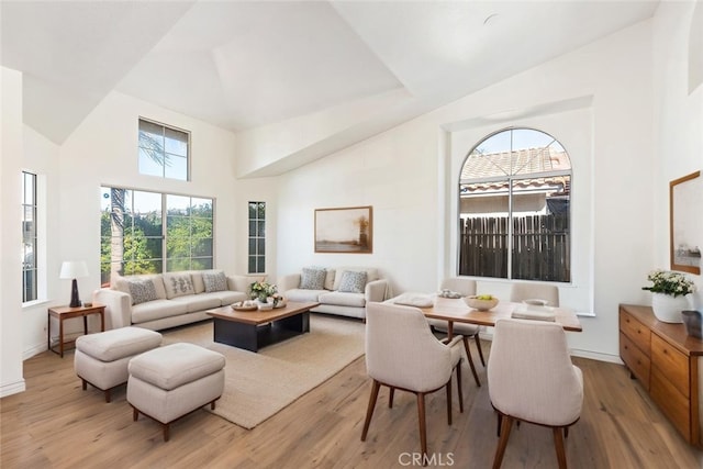 43419 Olive Ave, Hemet, CA 92544 - living area with wood finished floors and high vaulted ceiling