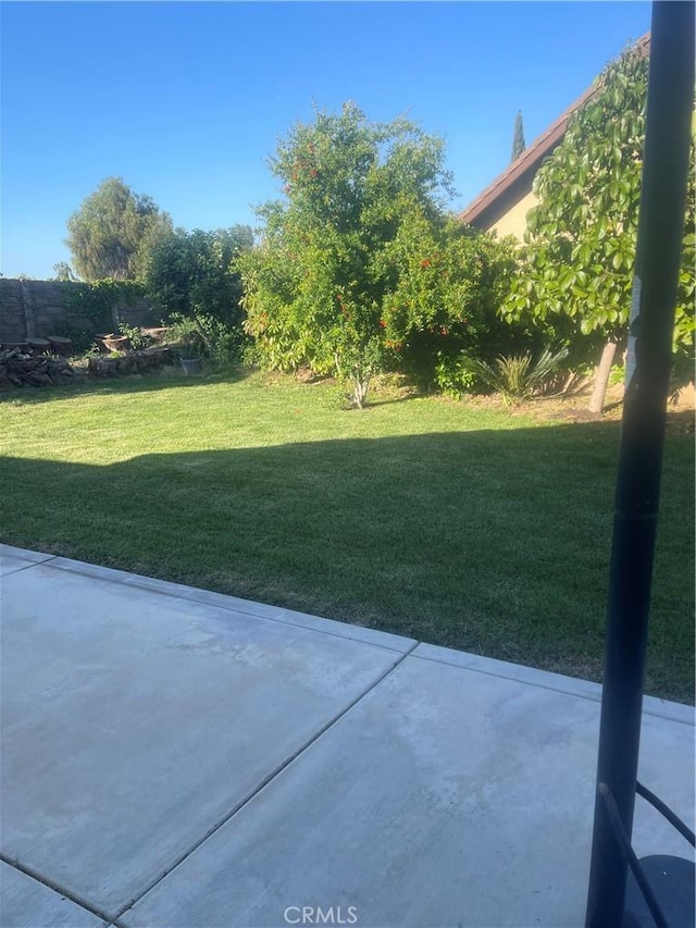 5683 Green Pasture Rd, Jurupa Valley, CA 92509 - view of green lawn featuring a patio