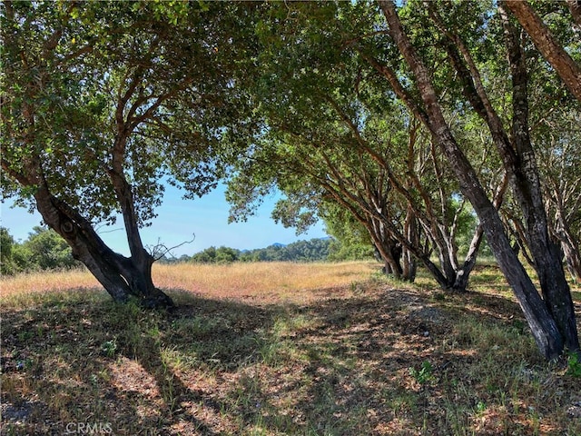 750 Avenida Alcola, Arroyo Grande, CA 93420 - photo 9