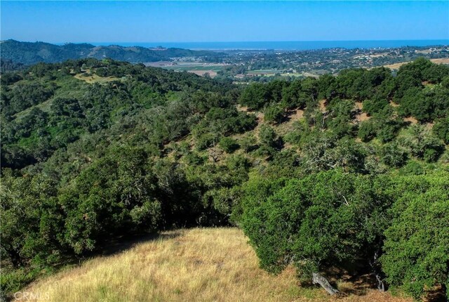 750 Avenida Alcola, Arroyo Grande, CA 93420 - photo 3