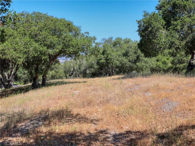 750 Avenida Alcola, Arroyo Grande, CA 93420 - photo 11