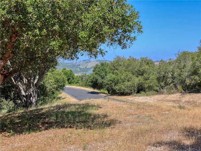 750 Avenida Alcola, Arroyo Grande, CA 93420 - photo 10