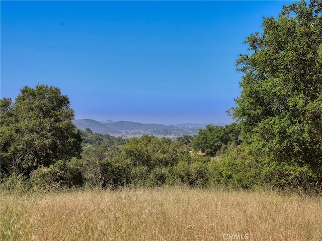 750 Avenida Alcola, Arroyo Grande, CA 93420 - photo 13
