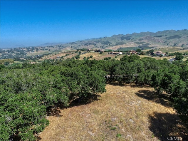 750 Avenida Alcola, Arroyo Grande, CA 93420 - photo 4