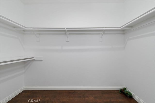 1327 Solera Ln Unit 6, Diamond Bar, CA 91765 - walk in closet featuring wood finished floors