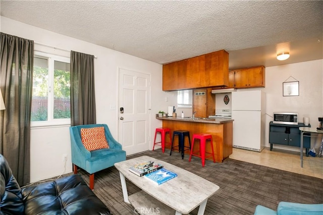 1905 Normal Ave, Chico, CA 95928 - living area featuring a textured ceiling