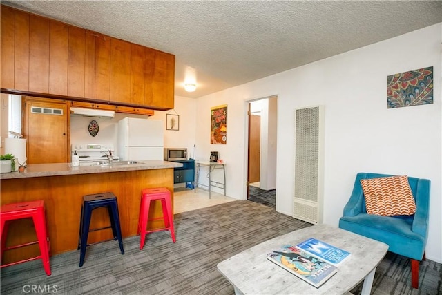1905 Normal Ave, Chico, CA 95928 - kitchen with a heating unit, freestanding refrigerator, stainless steel microwave, carpet, and a peninsula