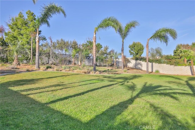 12932 Carnesi Dr, Rancho Cucamonga, CA 91739 - view of yard