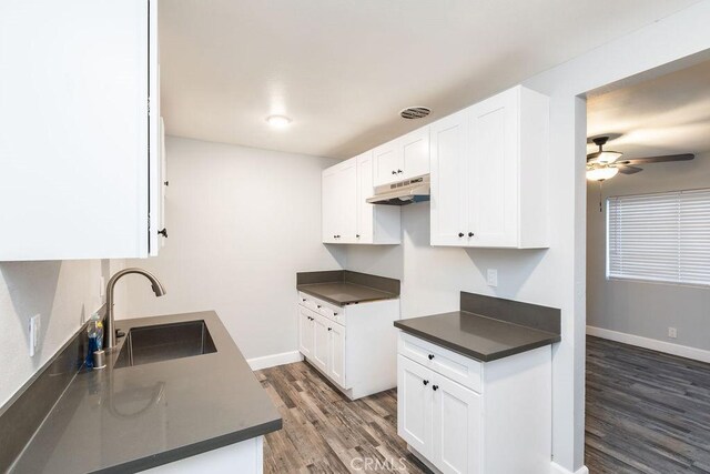 4401 La Clede Ave, Los Angeles, CA 90039 - kitchen featuring under cabinet range hood, a sink, wood finished floors, a ceiling fan, and dark countertops