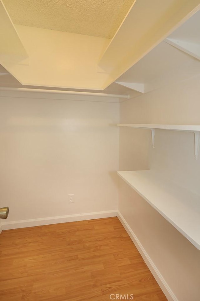 spacious closet featuring light wood-style flooring