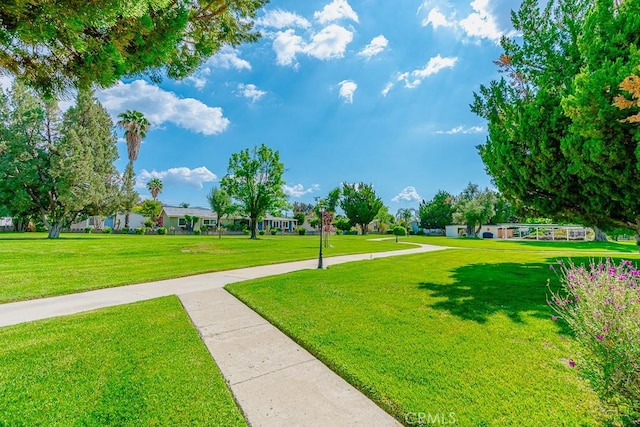 43451 Briercliff Dr, Hemet, CA 92544 - view of home's community featuring a yard